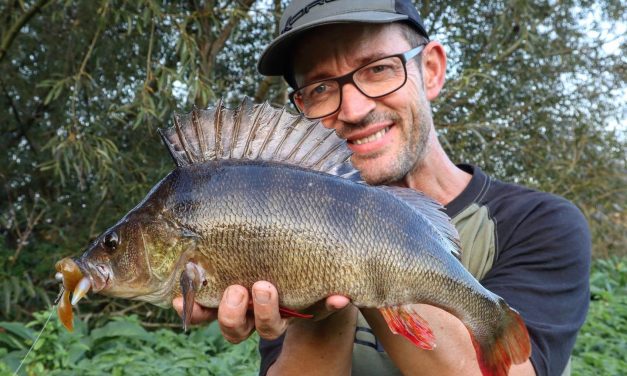 Roofmeister Top Gear – Speciale Ned rig softbaits & de doorslaggevende Loudmouth II