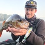 Met topwaters op baars –  River2Sea Whopper Plopper