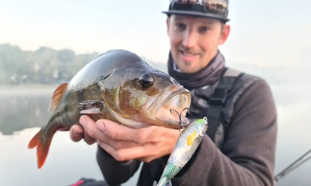 Met topwaters op baars –  River2Sea Whopper Plopper