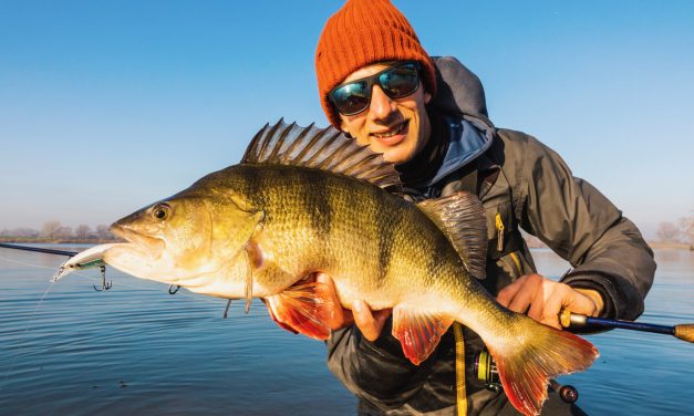 Dit zijn de beste hengels voor twitchbaits – De VisTD met hun top 5