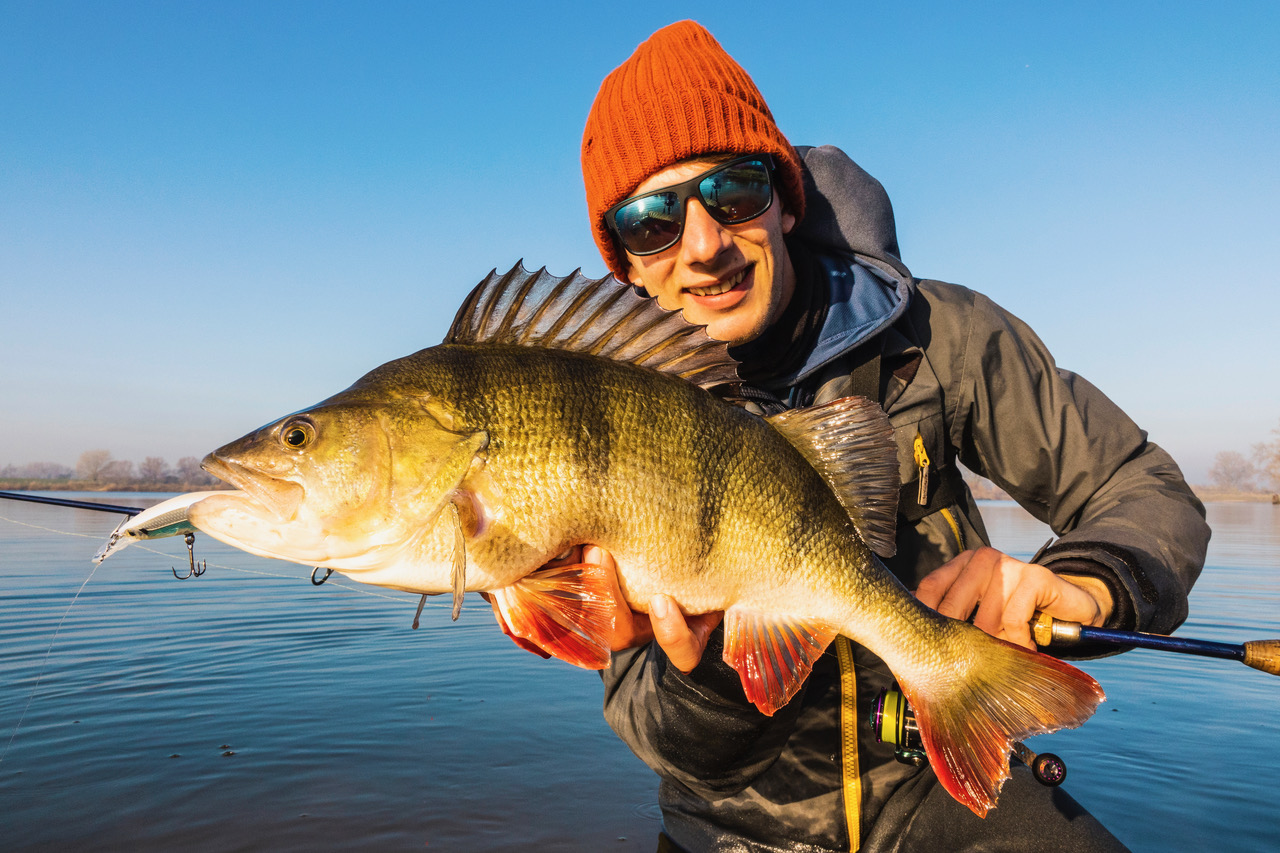 Dit zijn de beste hengels voor twitchbaits – De VisTD met hun top 5