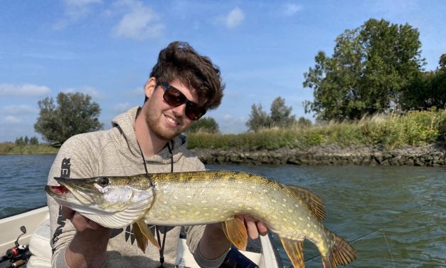 Tackle Meister Review – River2Sea Whopper Plopper – Topwater topper