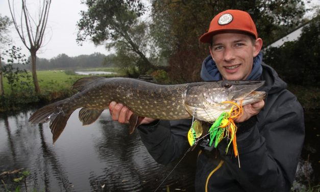 De slachtkamers van de polder – Snoek heer en meester