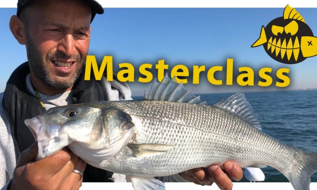 ***Roofmeister VIDEO*** Zeebaars les van Mourat Akkouh – Masterclass in IJmuiden