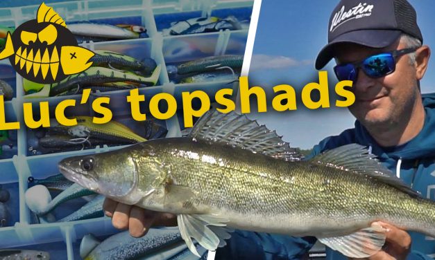 ***Roofmeister VIDEO*** De favoriete shads van Luc Coppens – Werpend op snoekbaars