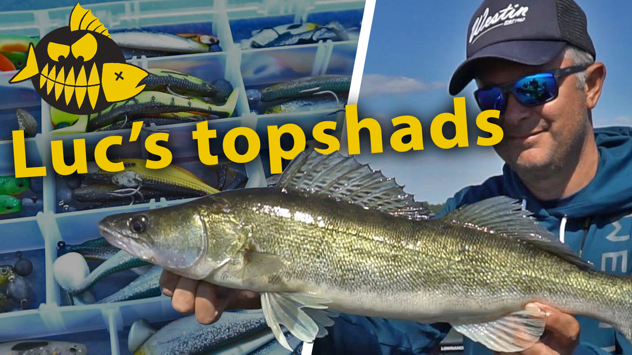 ***Roofmeister VIDEO*** De favoriete shads van Luc Coppens – Werpend op snoekbaars