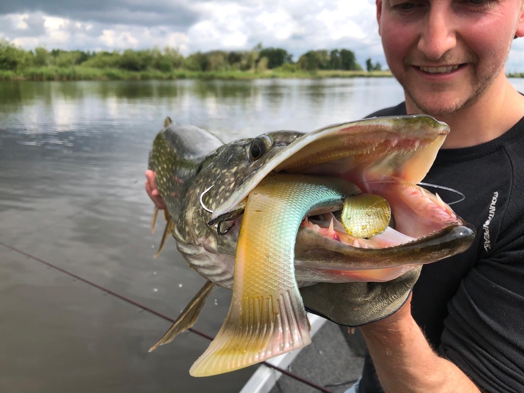 XXL rubber voor XXL roofvis – Quantum Freak of Nature Tench & Zander