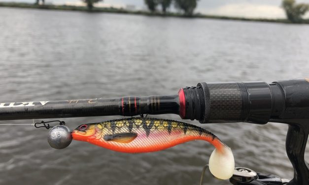 De shad voor de beginnende visser – Westin ShadTeez Ready ‘N’ Rigged