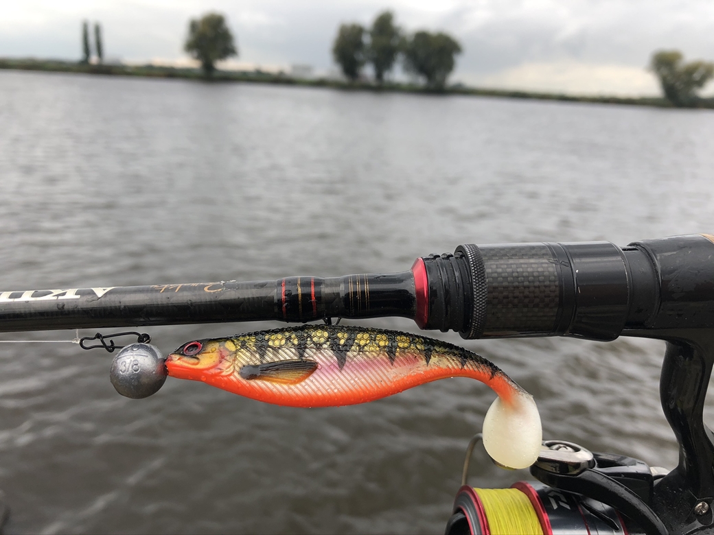 De shad voor de beginnende visser – Westin ShadTeez Ready ‘N’ Rigged