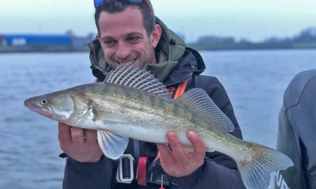 MeervalMeister Rick Habermehl op de snoekbaars in Rotterdam