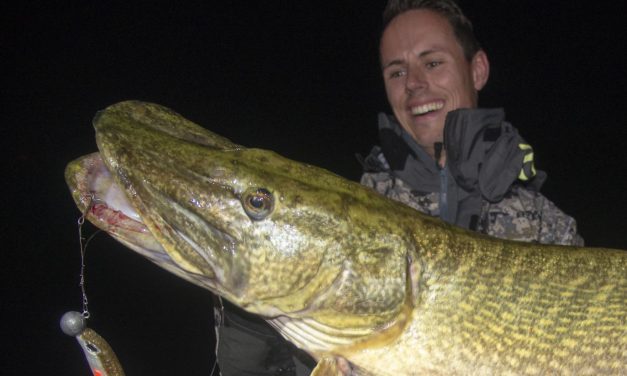 ***BREAKING CATCH*** Big mama van 131 cm voor Hugo Hegeman