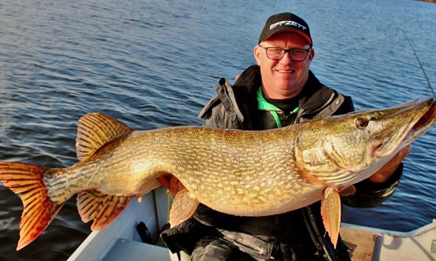 De onverslaanbare fireball – Meer en grote snoek
