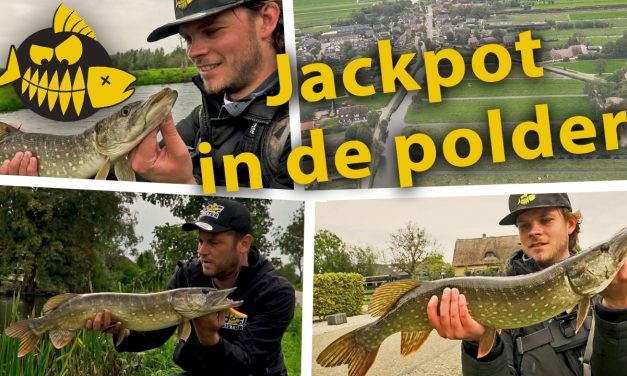 ***Roofmeister VIDEO*** Jackpot in de polder – Snoek op de vierkante meter