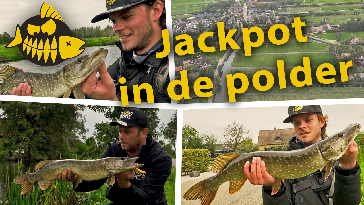 ***Roofmeister VIDEO*** Jackpot in de polder – Snoek op de vierkante meter
