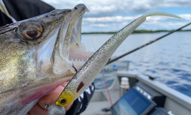 Roofmeister Top Gear – De side tot side killer & 13 Fishing