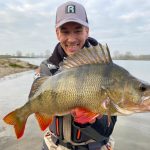 De eerste stappen met de Carolina rig – 51 cm baars bij worp 3