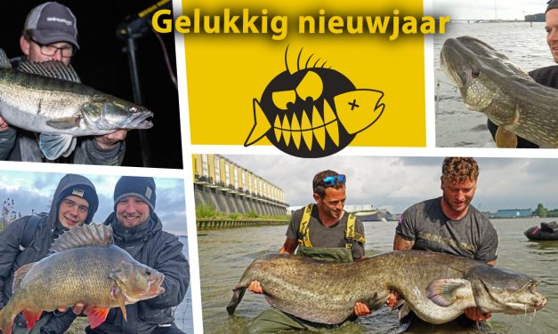 De RM hoogtepunten van 2020 – Snoek van 121 cm, baarzen van 53 cm en meerval van 218 cm!