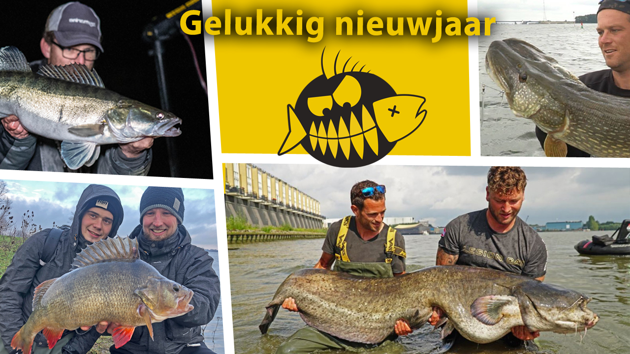 De RM hoogtepunten van 2020 – Snoek van 121 cm, baarzen van 53 cm en meerval van 218 cm!