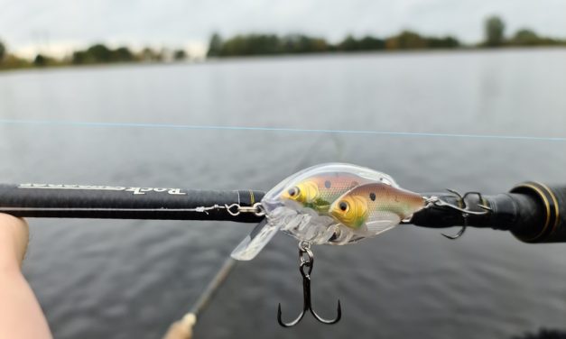 Vis in vis imitatie – LiveTarget Baitball Serie