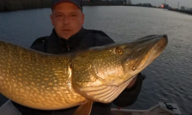 ***MEGAVANGST*** 131 cm snoek op fireball voor Roy Noom