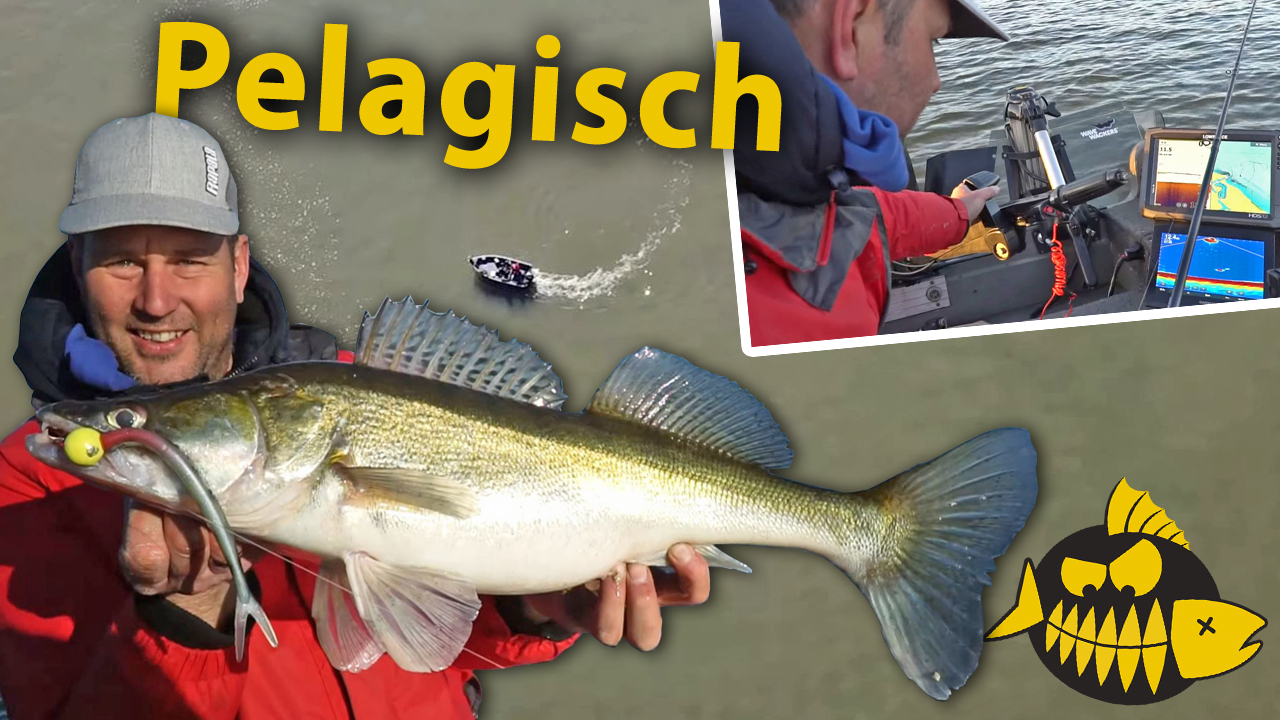 ***Roofmeister VIDEO*** Pelagisch op grote snoekbaars – Kastelen van het Hollands Diep