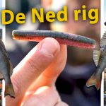 ***Roofmeister VIDEO*** Met de Ned rig in Amsterdam – Streetfishing met Rico Stougie