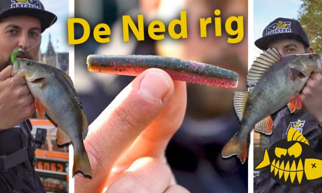 ***Roofmeister VIDEO*** Met de Ned rig in Amsterdam – Streetfishing met Rico Stougie