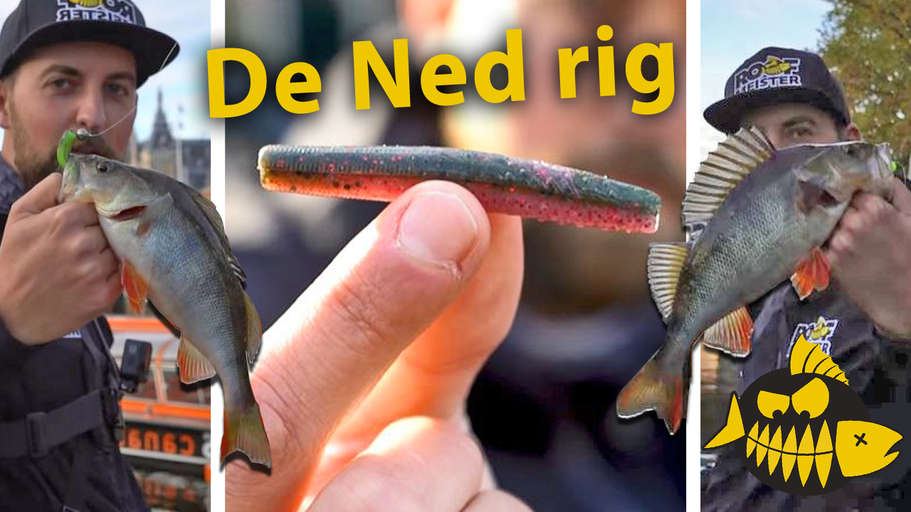 ***Roofmeister VIDEO*** Met de Ned rig in Amsterdam – Streetfishing met Rico Stougie