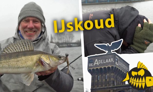 ***Roofmeister VIDEO*** Missie: 30 Zaanse snoekbaarzen – Als ’t ijs en ijs koud is