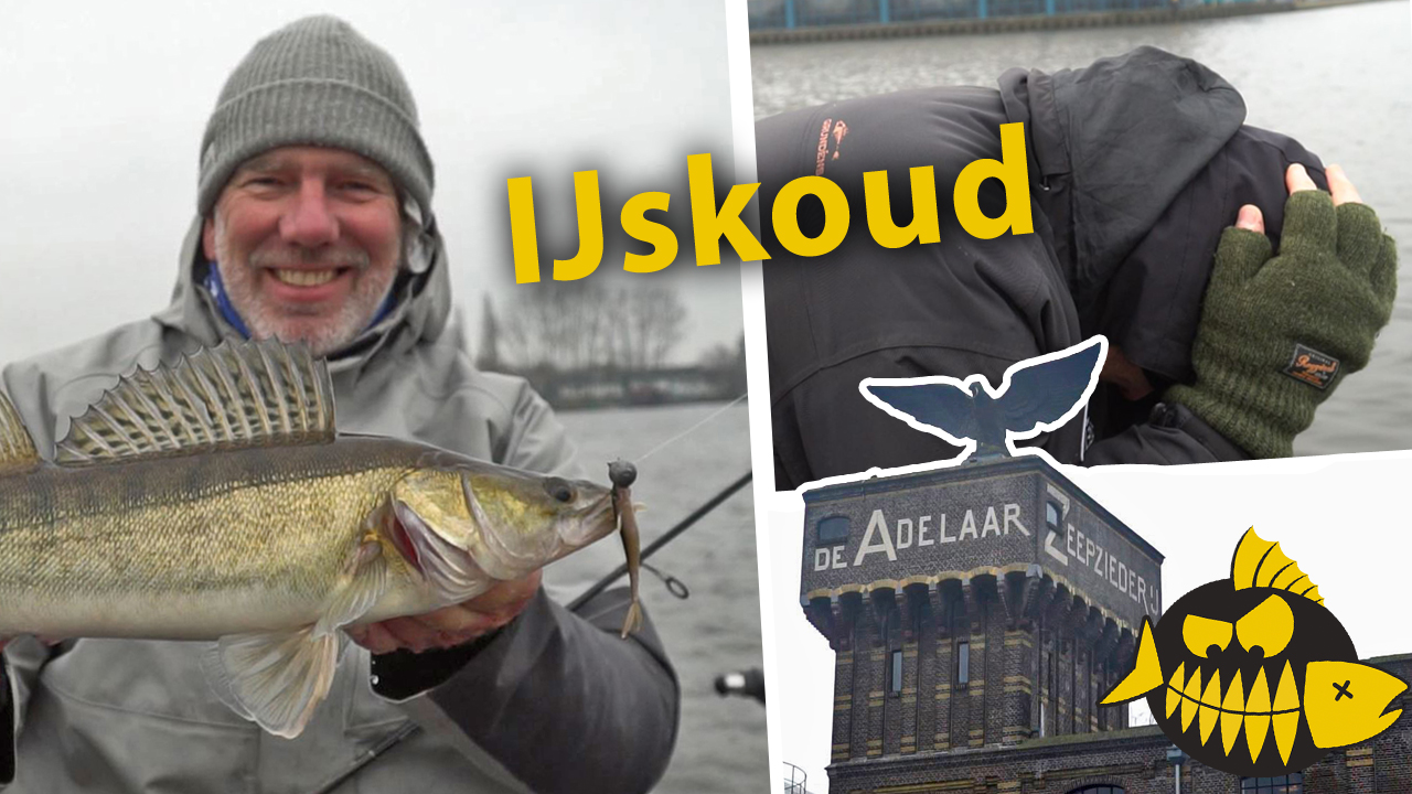 ***Roofmeister VIDEO*** Missie: 30 Zaanse snoekbaarzen – Als ’t ijs en ijs koud is