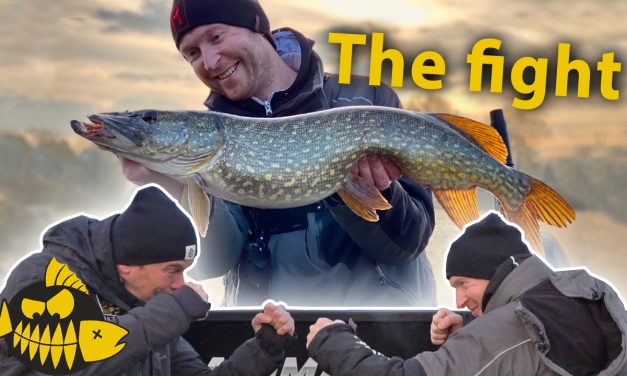 ***Roofmeister VIDEO*** Klein VS groot kunstaas voor snoek – Wat scoort in de winter?