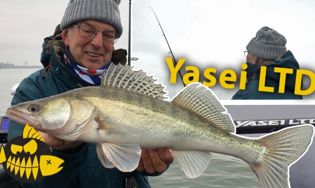 De allrounder voor werpen en verticalen op snoekbaars