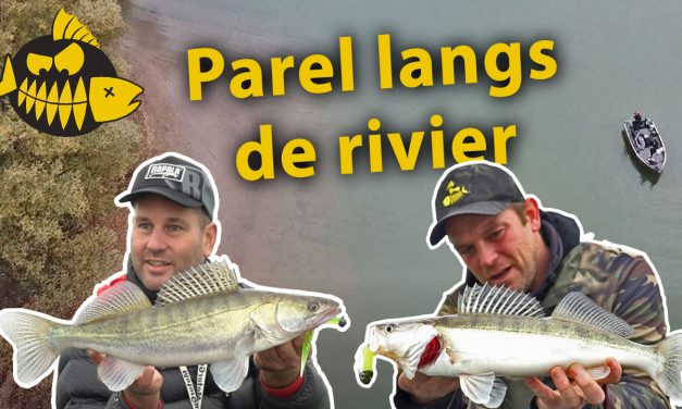 ***Roofmeister VIDEO*** Freestyle op snoekbaars & baars – Parel langs de rivier