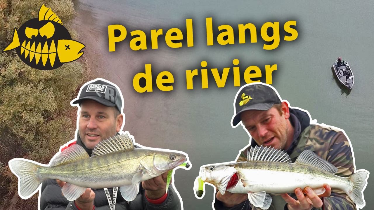 ***Roofmeister VIDEO*** Freestyle op snoekbaars & baars – Parel langs de rivier