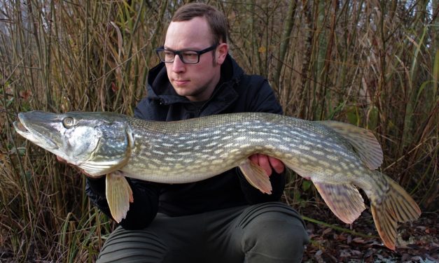 Statisch snoekvissen met dood aas – Welke dieptes en succevolle tactieken
