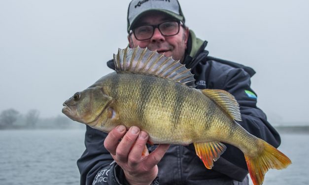 Zo vind je de beste stekken voor grote baars – De Ned rig en Chebaruska rig