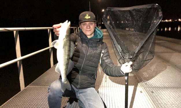 Reflecterend schepnet voor hoge kades! – Streetfishing met 4Street