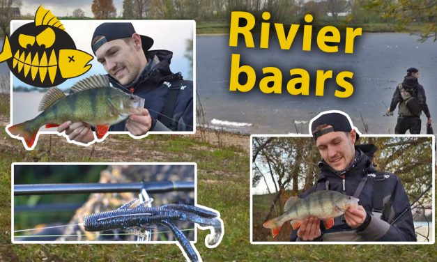***Roofmeister VIDEO*** Baars op rivierplassen met de C rig, lipless crank &  tube