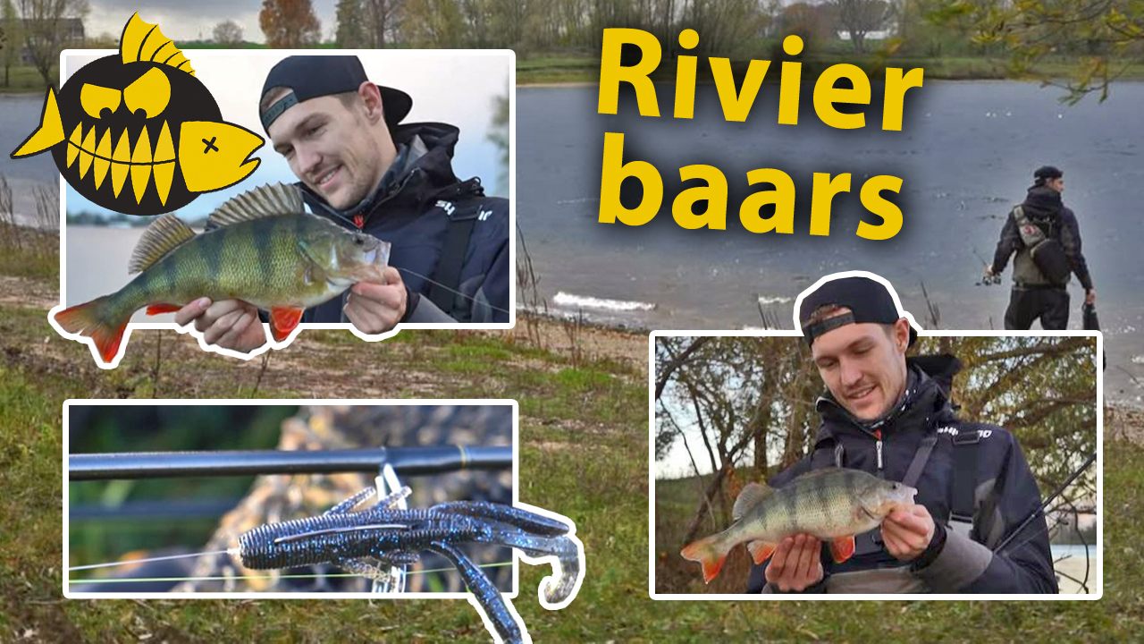 ***Roofmeister VIDEO*** Baars op rivierplassen met de C rig, lipless crank &  tube
