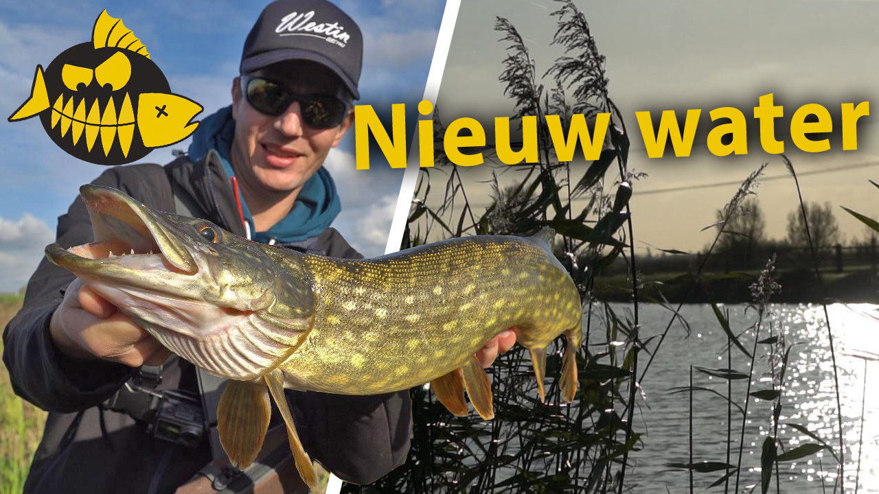 ***Roofmeister VIDEO*** Kantvissen op snoek – Zo pak je nieuw water aan