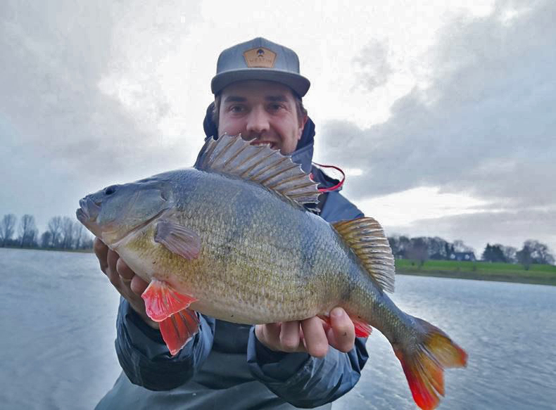 Top hengel voor C rig vanaf de kant – Westin W3 T&C 225 cm