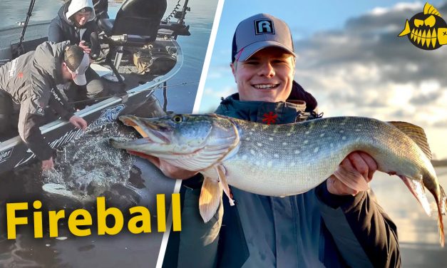 ***Roofmeister VIDEO*** Slepen met dood aas – Met de fireball onder de dobber