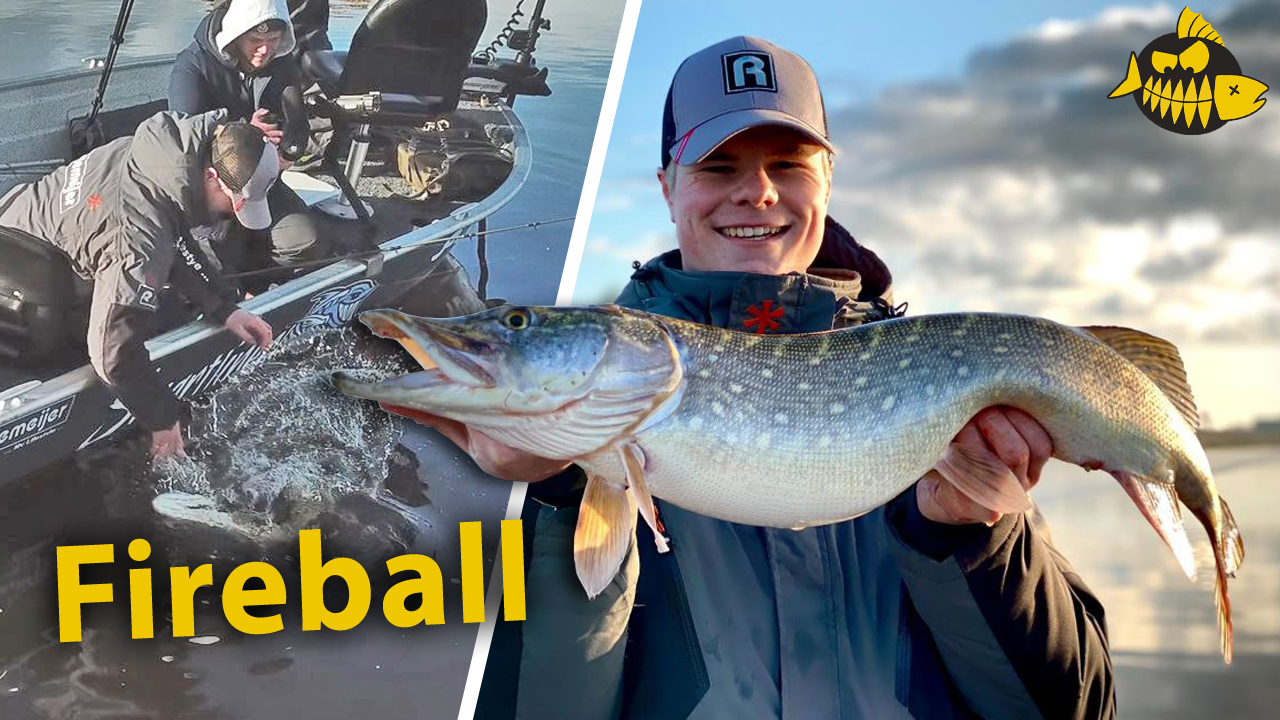 ***Roofmeister VIDEO*** Slepen met dood aas – Met de fireball onder de dobber