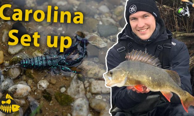 Welke hengel en molen voor de Carolina rig?