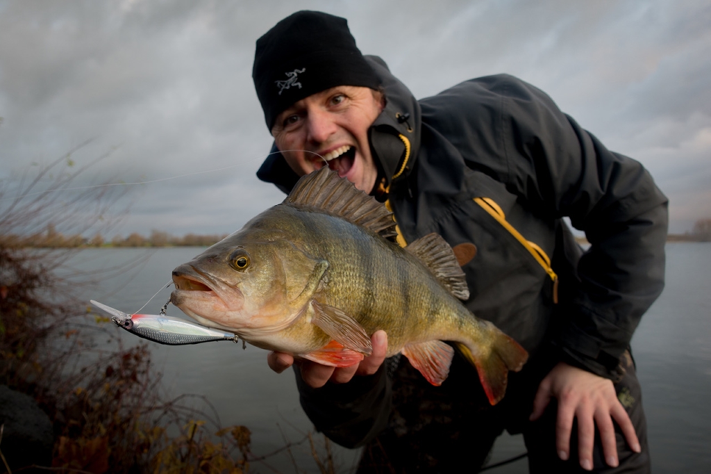 De top 4 Rapala twitchbaits van PB Broeckx voor grote baars
