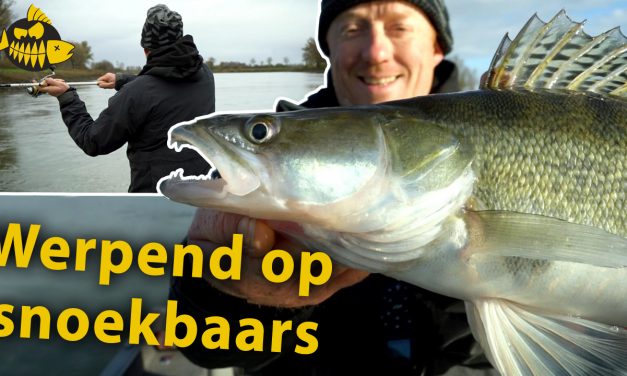 ***Roofmeister VIDEO*** Anders werpen op snoekbaars – Met een expert op de rivier