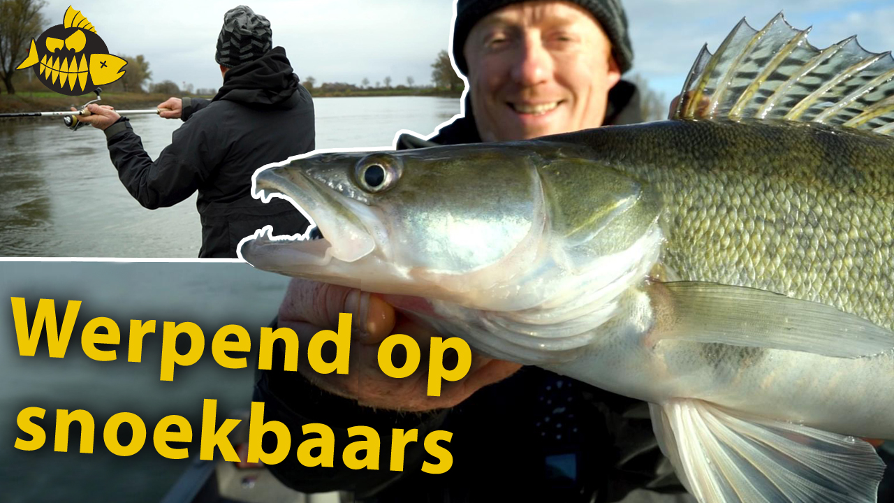 ***Roofmeister VIDEO*** Anders werpen op snoekbaars – Met een expert op de rivier