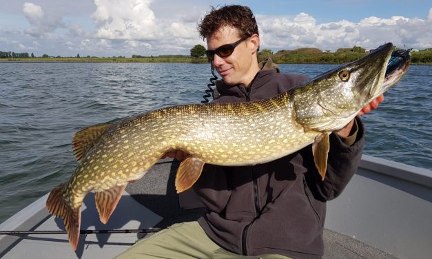 Meer snoek in het voorjaar vangen – Ondiep is de place to be