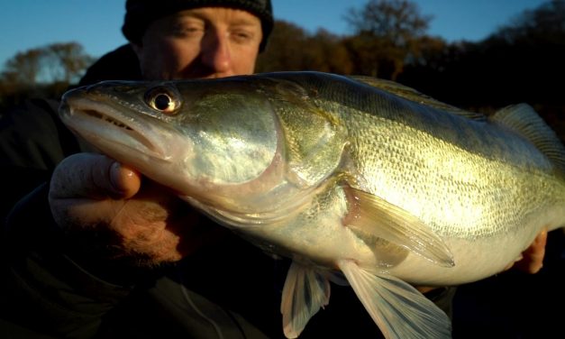 Een ANDERE manier van werpen met shads op snoekbaars
