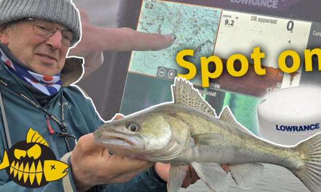 Lasergestuurd snoekbaars aanwerpen – De Point-1 GPS Antenne van Lowrance